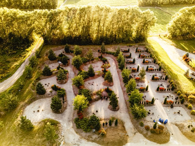 Park with trees and many campfire sites scattered throughout, seen from above.