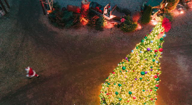 Large christmas tree with lights and decorations in an open area, seen from above.